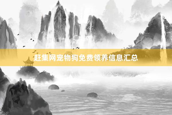 赶集网宠物狗免费领养信息汇总