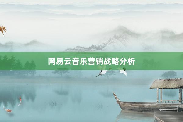网易云音乐营销战略分析